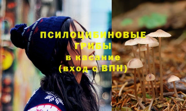 круглые Богданович