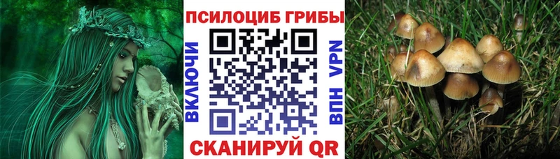 Галлюциногенные грибы прущие грибы  цены наркотик  Новохопёрск 